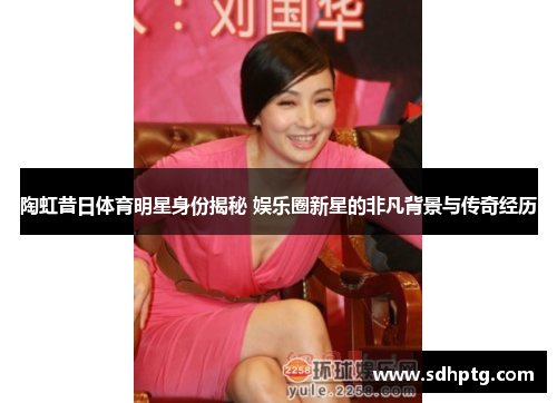 陶虹昔日体育明星身份揭秘 娱乐圈新星的非凡背景与传奇经历