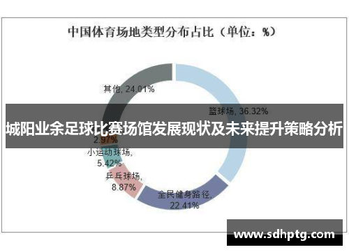 城阳业余足球比赛场馆发展现状及未来提升策略分析